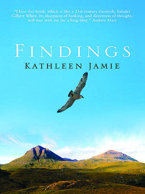 cover image of Findings